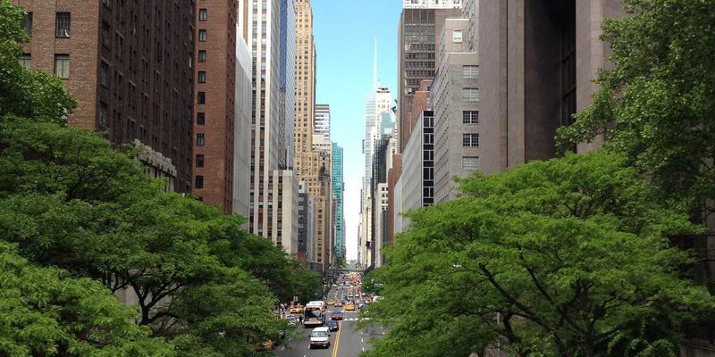 博奥教育33：深耕语言培训与留学咨询，打造一站式教育解决方案