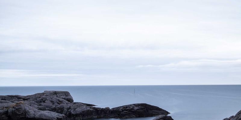 博奥教育36：深耕教育培训与留学咨询，赋能国际化教育新未来