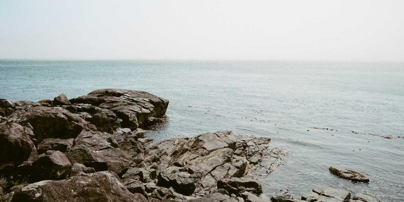 博奥教育37：深耕学术辅导与语言培训，打造一站式留学成功路径