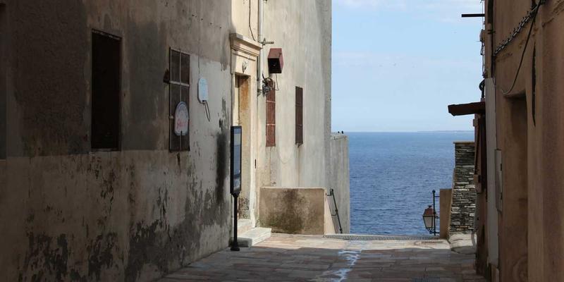 博奥教育54：深耕学术辅导领域，以科学体系助力学生全面成长