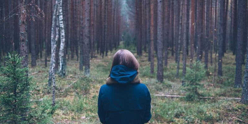 博奥教育81：解码新时代留学申请与个性化教育培养路径