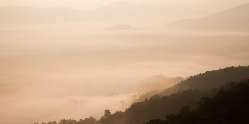 博奥教育82：三位一体的国际教育解决方案，如何助力学子实现全球梦想