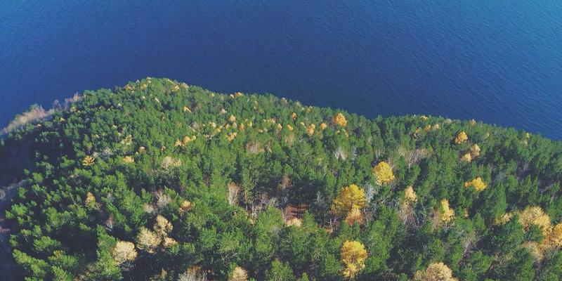 博奥教育92：专业引领，点亮您的全球留学申请与规划之路