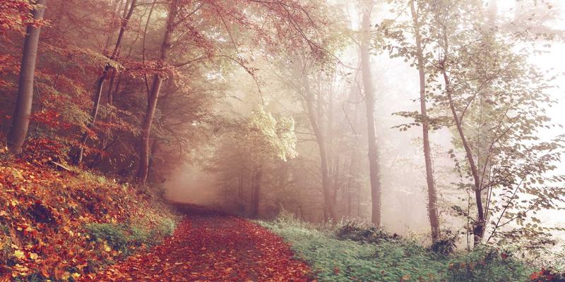 博奥教育：专业留学申请与咨询，助力学子实现海外名校梦想