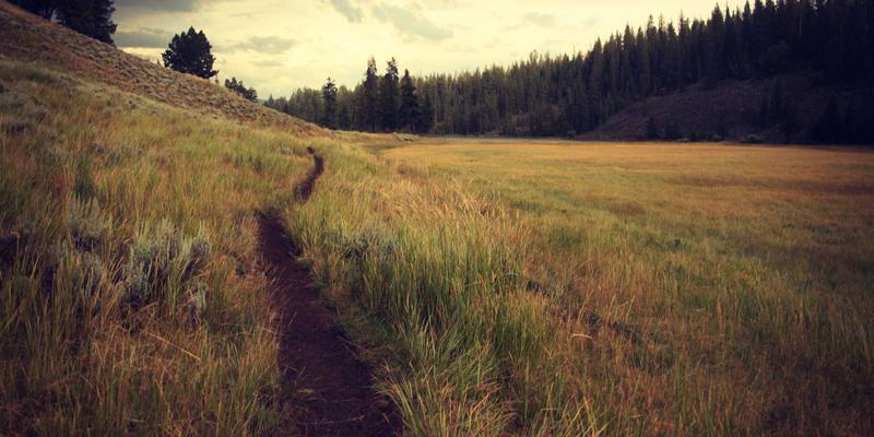 博奥教育低龄儿童英语启蒙：原版阅读与思维发展的双轨路径规划