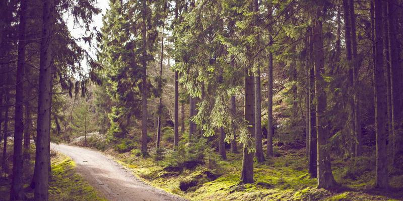 博奥教育前景展望:语言培训与留学申请如何塑造未来教育新生态