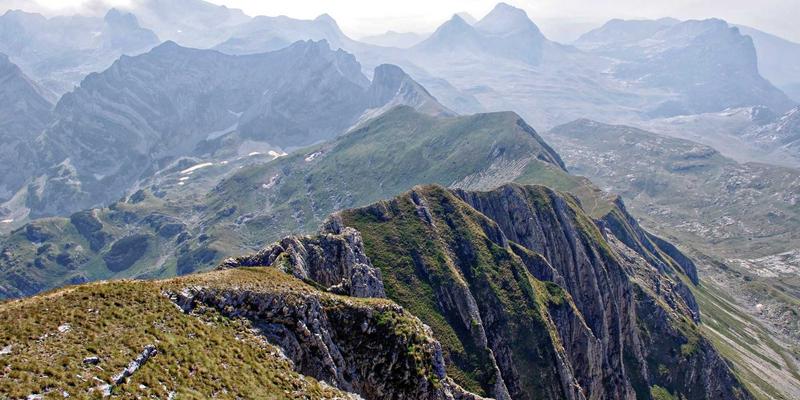 博奥教育心理学入门与科研项目：如何为留学申请心理学相关专业奠定坚实基础
