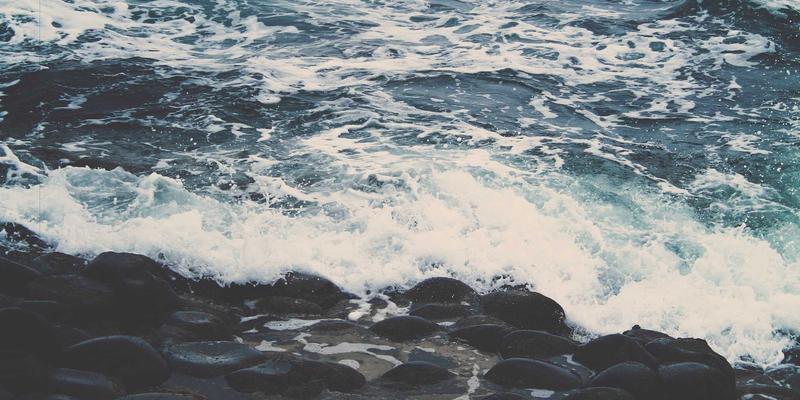 博奥教育心理学入门与科研项目：如何将青少年心理发展研究转化为留学申请核心竞争力