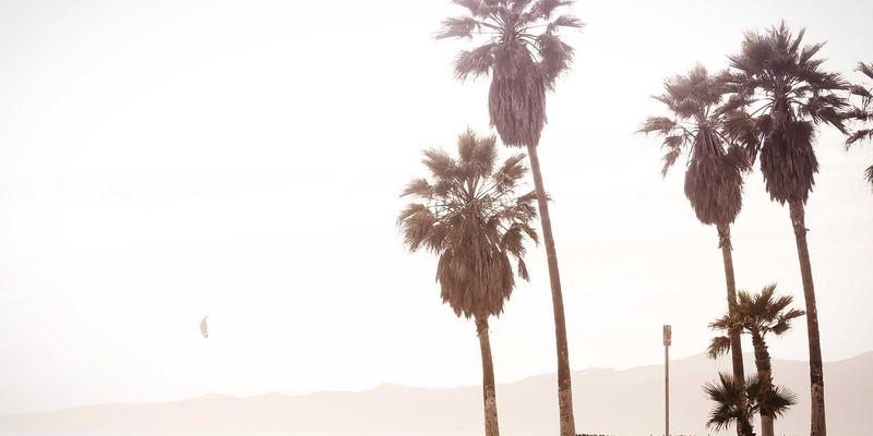 博奥教育文科生背景提升方案：如何通过人文社科研究项目增强留学竞争力