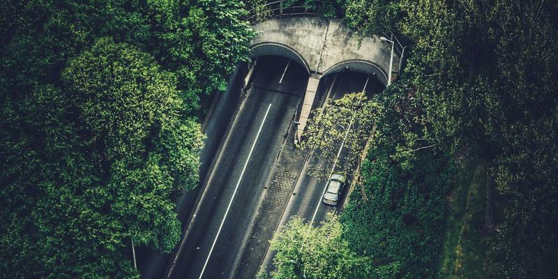 博奥教育深度解析：从语言培训到留学申请，学术诚信与论文引用规范全指南