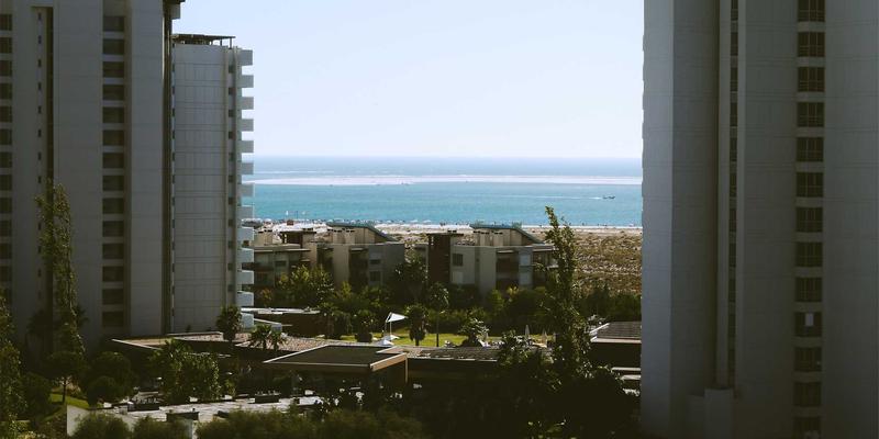 博奥教育深度解析：语言培训、学术辅导与素质教育的融合创新之路