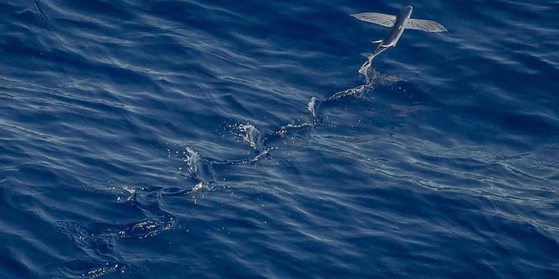 博奥教育留学文书工坊：深度解析如何挖掘独特故事，打造打动招生官的个人陈述与推荐信