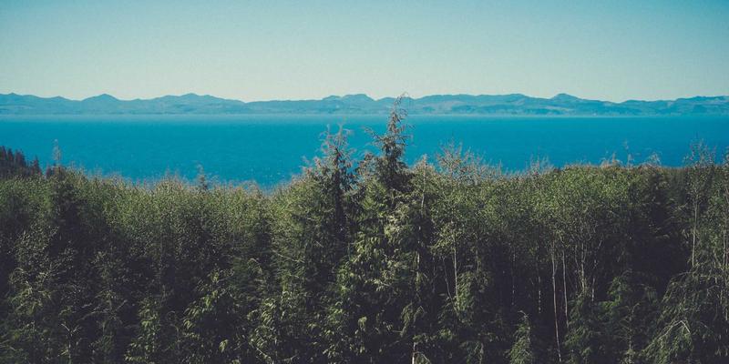 博奥教育：经济学、商科等热门专业的早期探索与深度规划指南