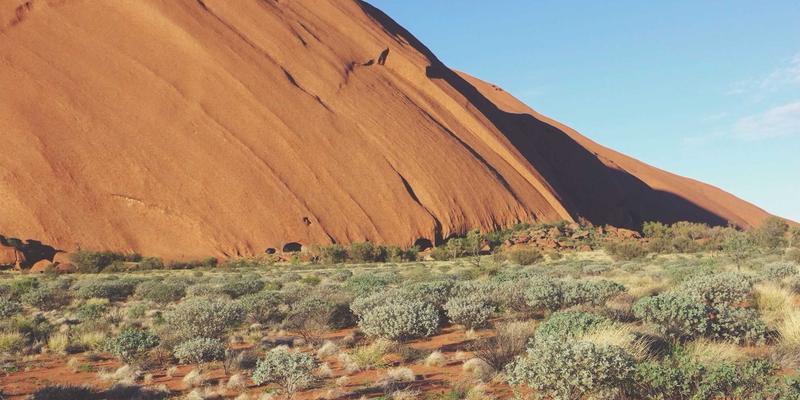 博奥教育解析：家庭教育与国际学校教育如何协同形成育人合力